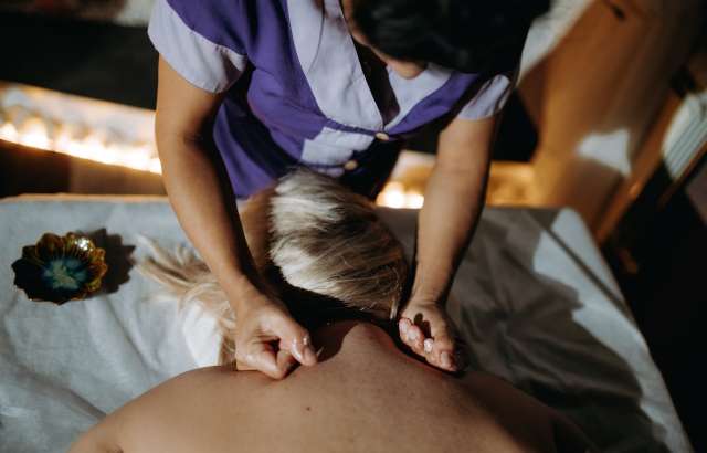 Сонный Сиам