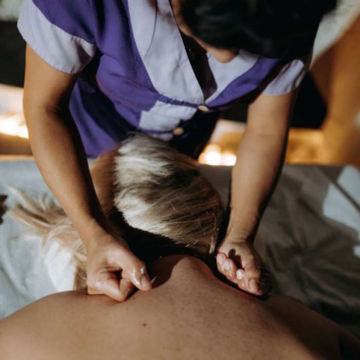 Сонный Сиам